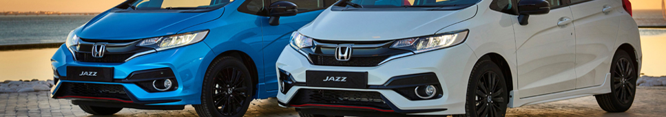 Das Bild zeigt ein Fahrzeug der Marke Honda