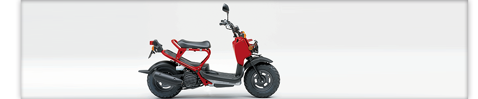 Das Bild zeigt ein Fahrzeug der Marke Honda
