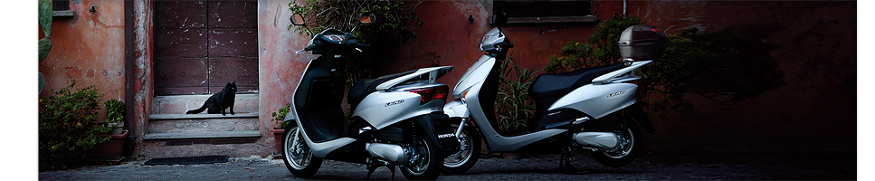 Das Bild zeigt ein Fahrzeug der Marke Honda