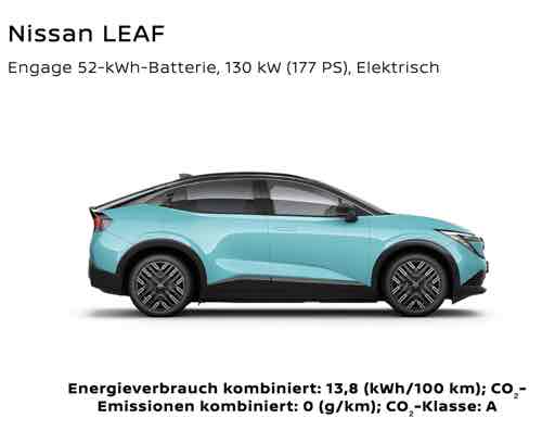 2026-04-leaf-motiv.jpg (500&times;397)