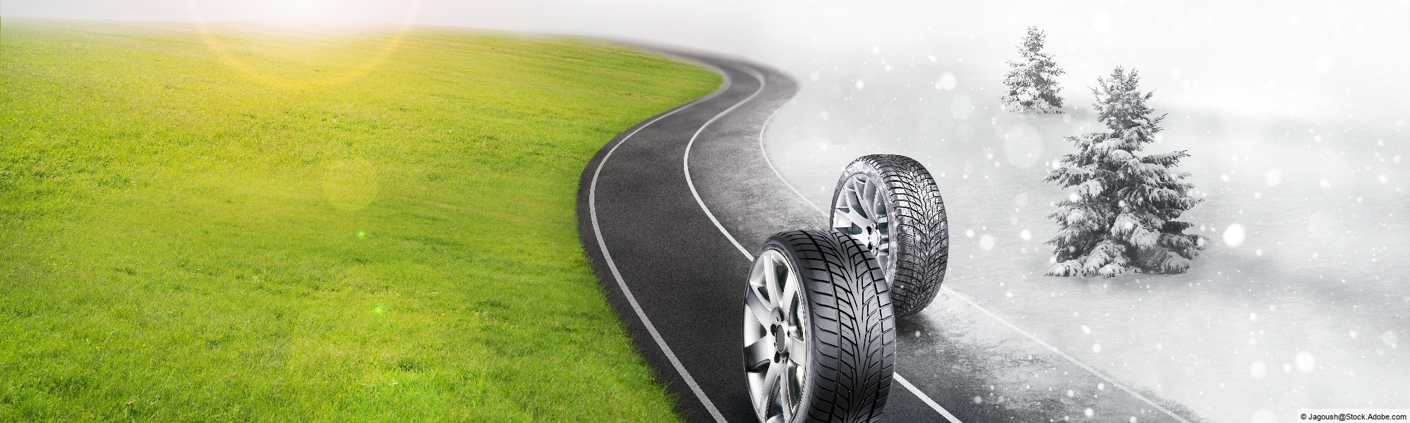 gro&szlig;es Headerbild