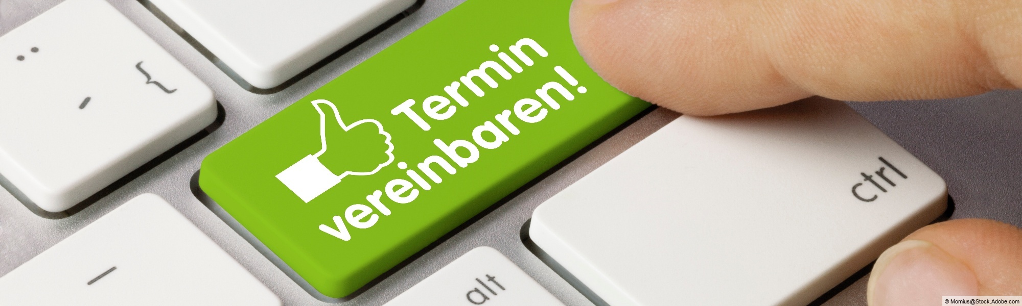 Headerbild groß