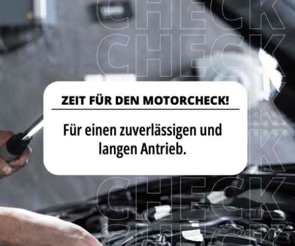 Gründliche Inspektion gefällig?