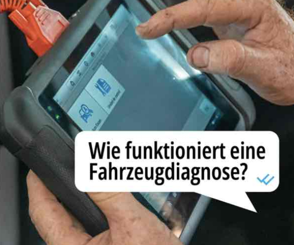 Fachgerechte Diagnose