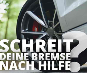 Schreit deine Bremse nach Hilfe?