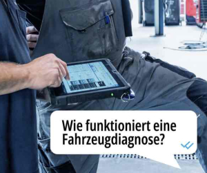 Professionelle Diagnose