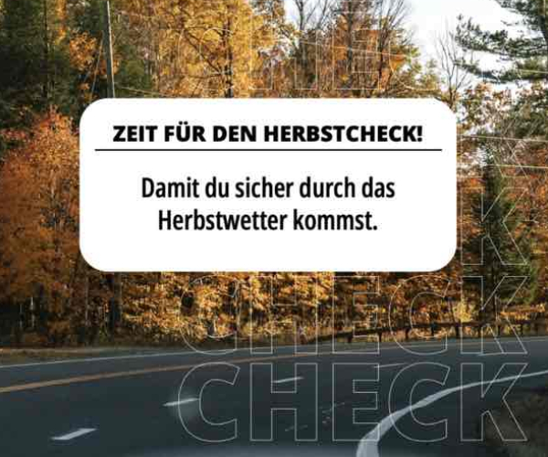 Zeit für den Herbst-Check