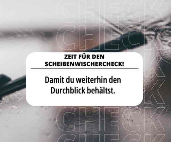Behalte klaren Durchblick