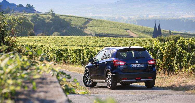 großes Bild 3 des Suzuki 