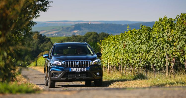 großes Bild 4 des Suzuki 